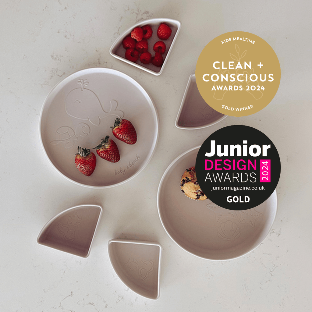 The Kids Everything Plate