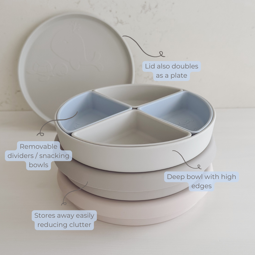The Kids Everything Plate