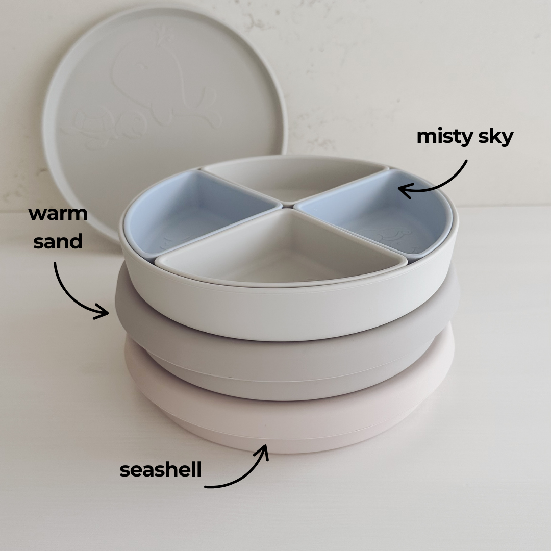 The Kids Everything Plate