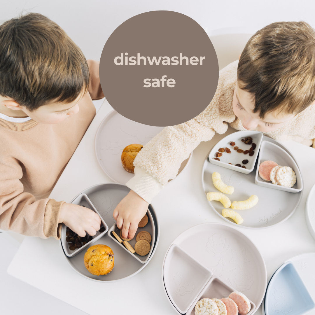 The Kids Everything Plate