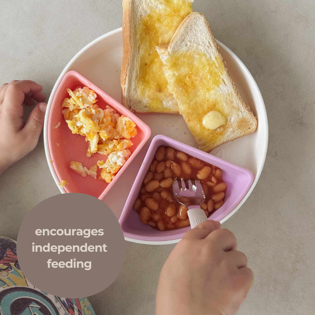 The Kids Everything Plate