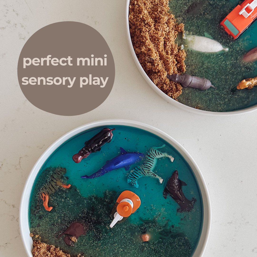 The Kids Everything Plate