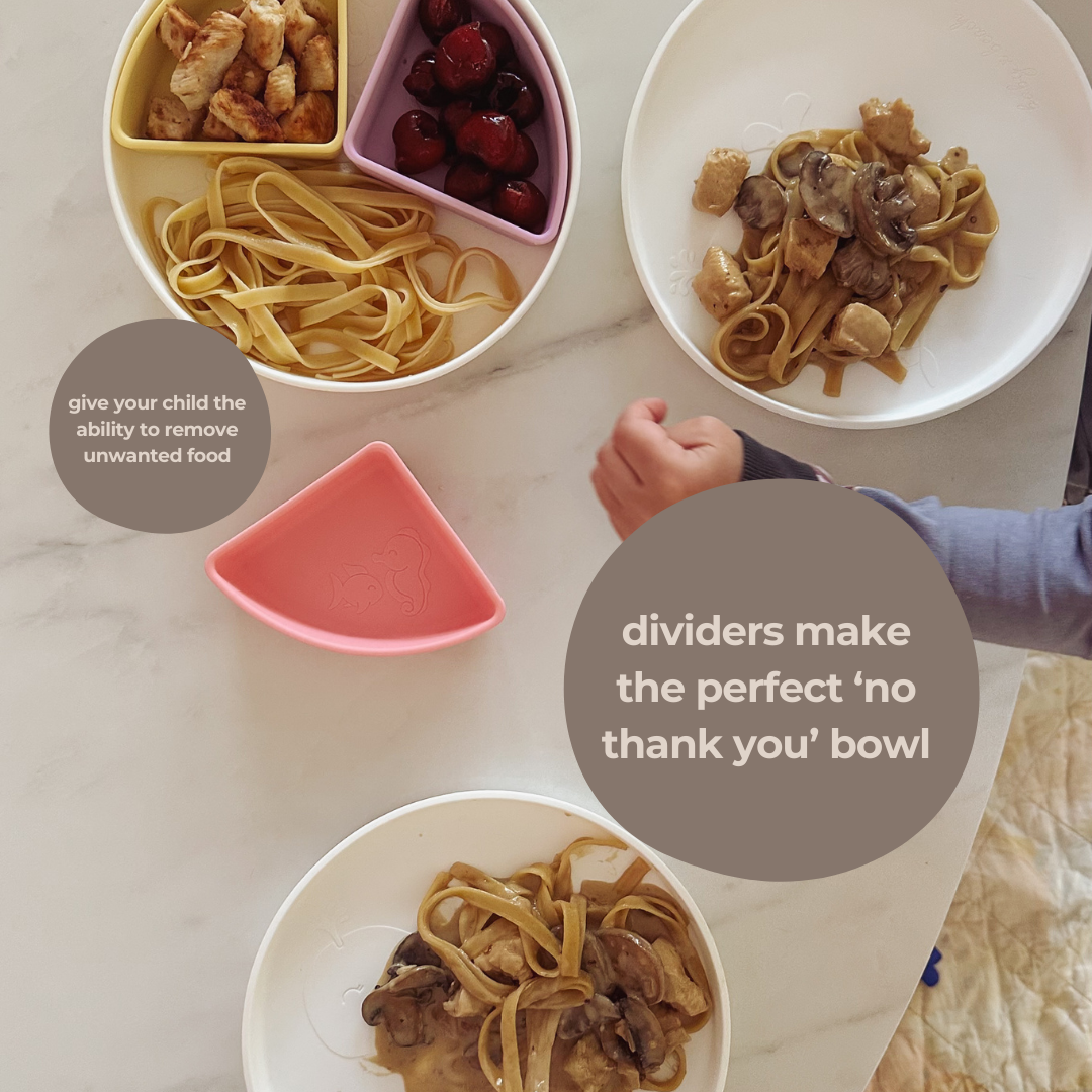 The Kids Everything Plate