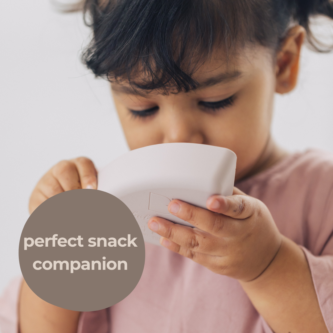 The Kids Everything Plate