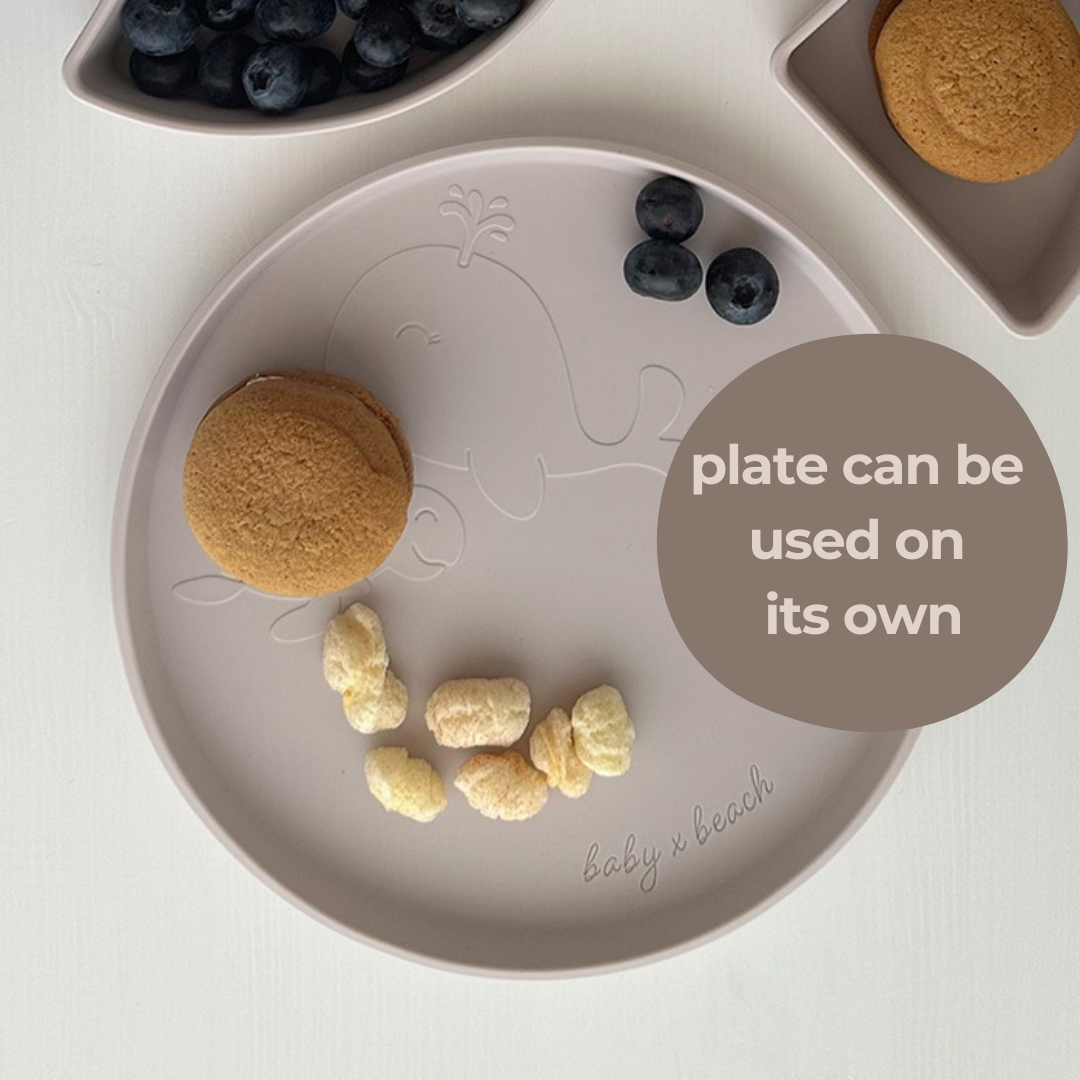 The Kids Everything Plate