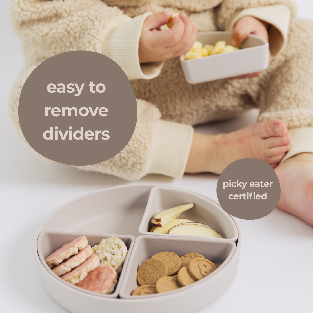 The Kids Everything Plate