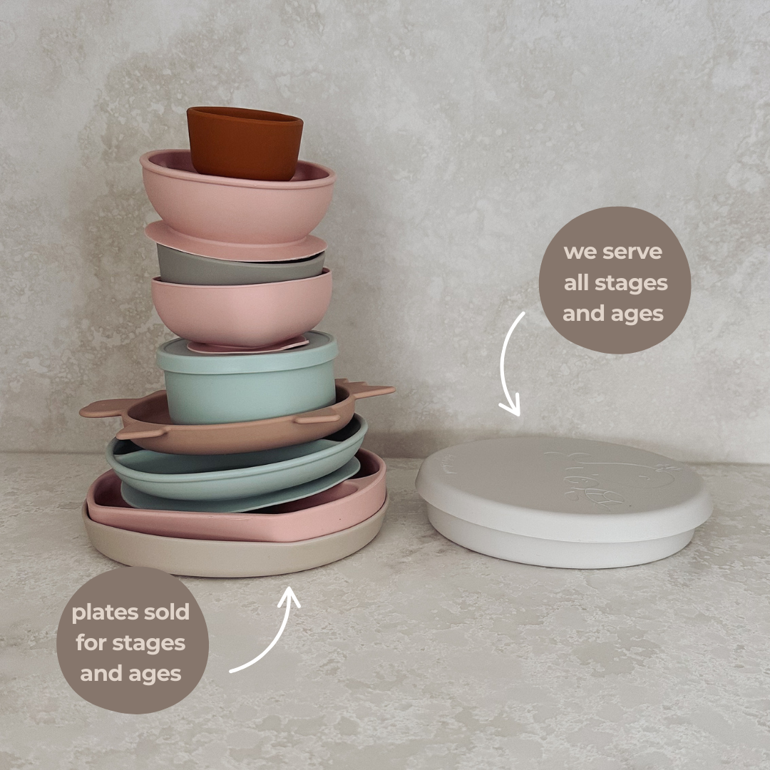 The Kids Everything Plate
