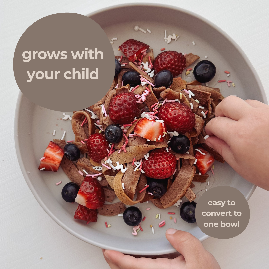 The Kids Everything Plate